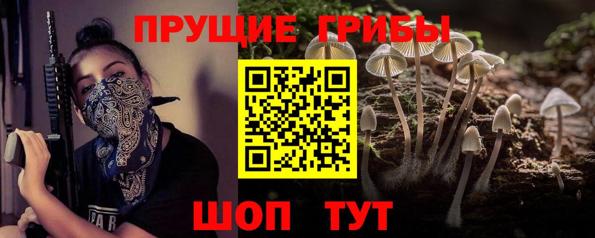 Фролово  Псилоцибиновые грибы Cubensis  Вход с VPN  Псилоцибиновые грибы MAGIC MUSHROOMS 